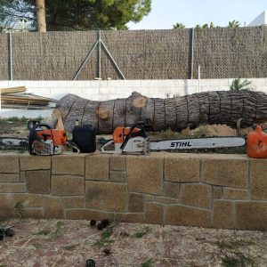 PHOTO-2023-01-10-15-56-05